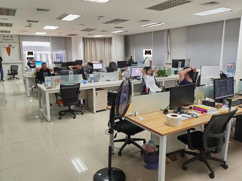 技術開發成幫兇，浠水警方雷霆出擊斬斷涉詐APP黑色產業鏈